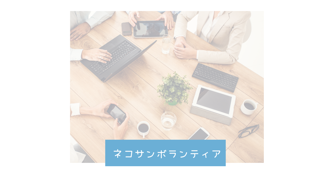ネコサンボランティア横浜市ボランティア