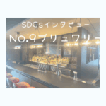 横浜SDGsネコサンボランティアアクティボ